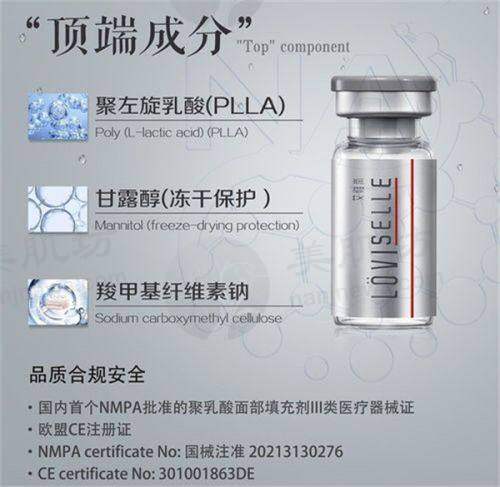 擅长项目详解