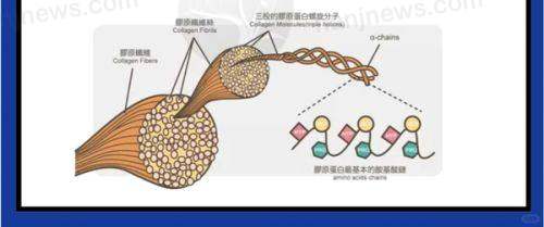 结尾预约号召