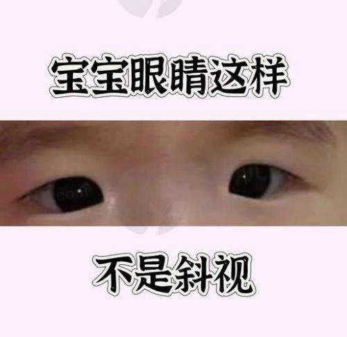 擅长项目详解
