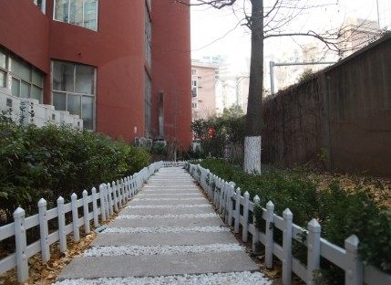山东第一医科大学附属青岛眼科医院