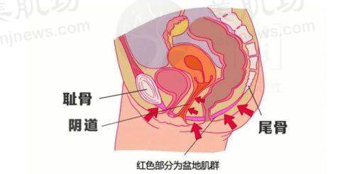 设备环境介绍