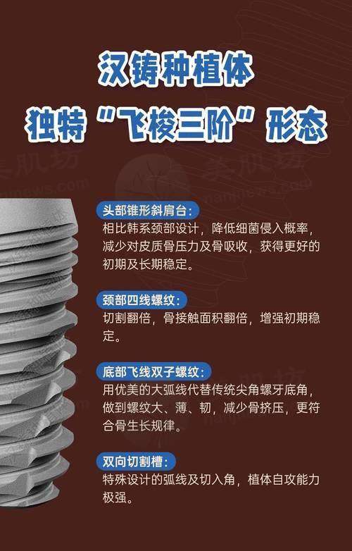 擅长项目详解